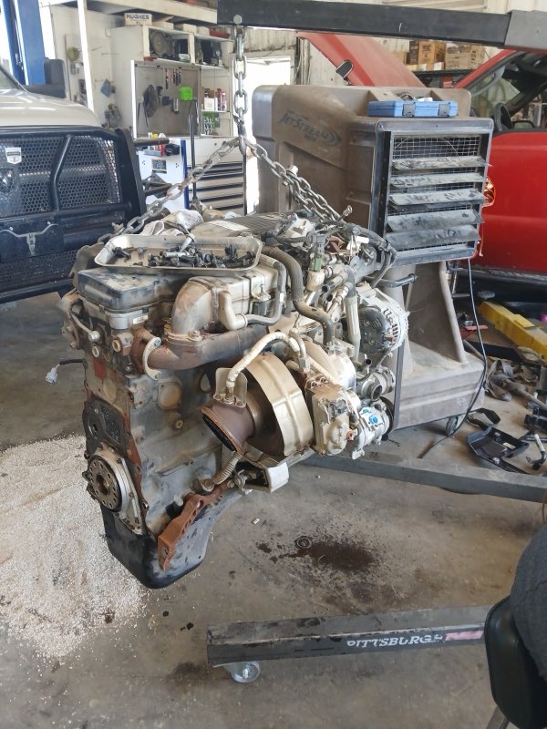 A diesel engine pulled from a truck and hanging from a chain hoist in the shop